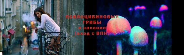 первитин Вяземский