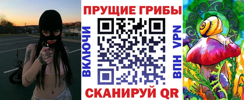 Купить  Павловский Посад  Псилоцибиновые грибы мицелий 